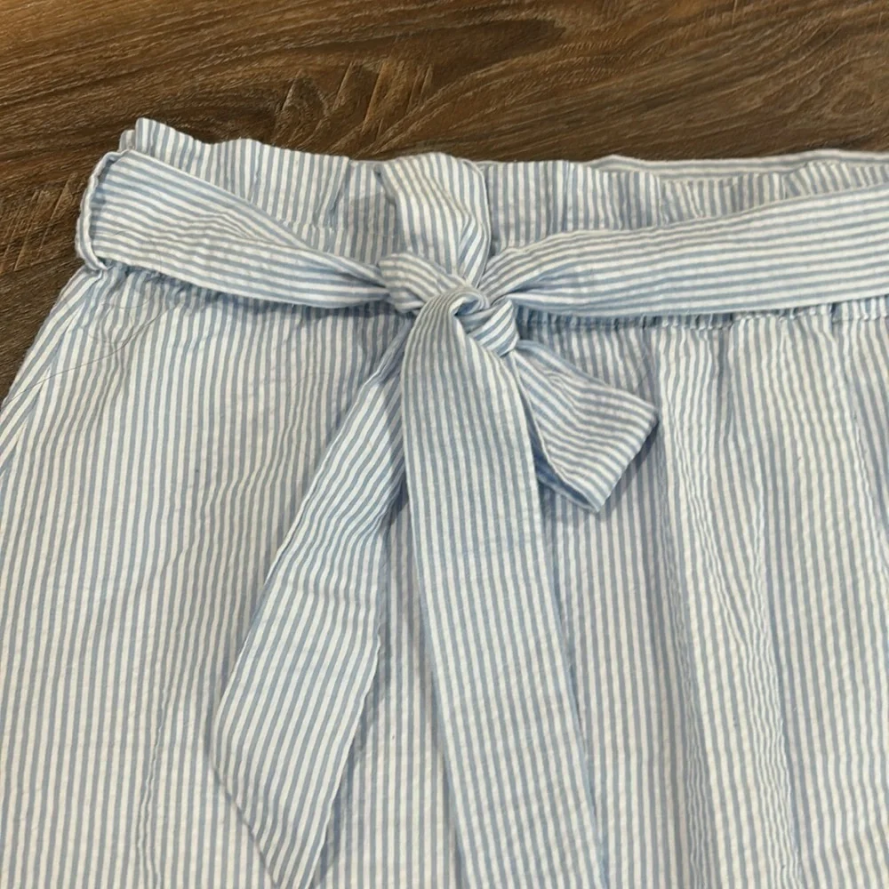 Mud Pie blue & white gingham pattern lined Skirt size medium
